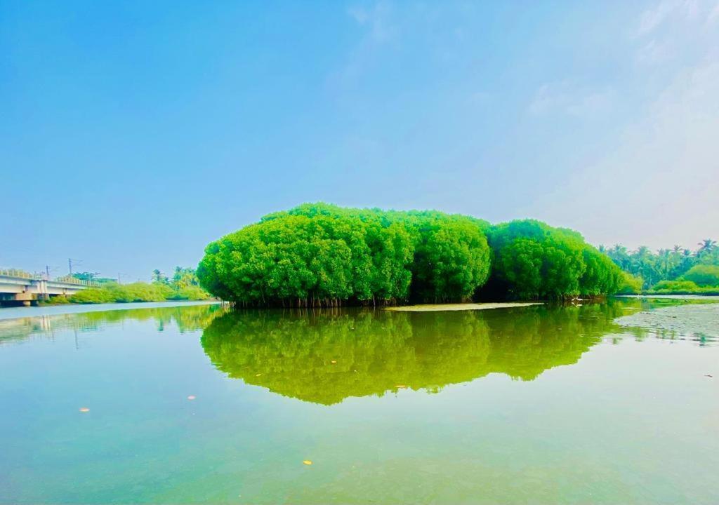 Green Island Homestay Riverside Kozhikode Eksteriør bilde