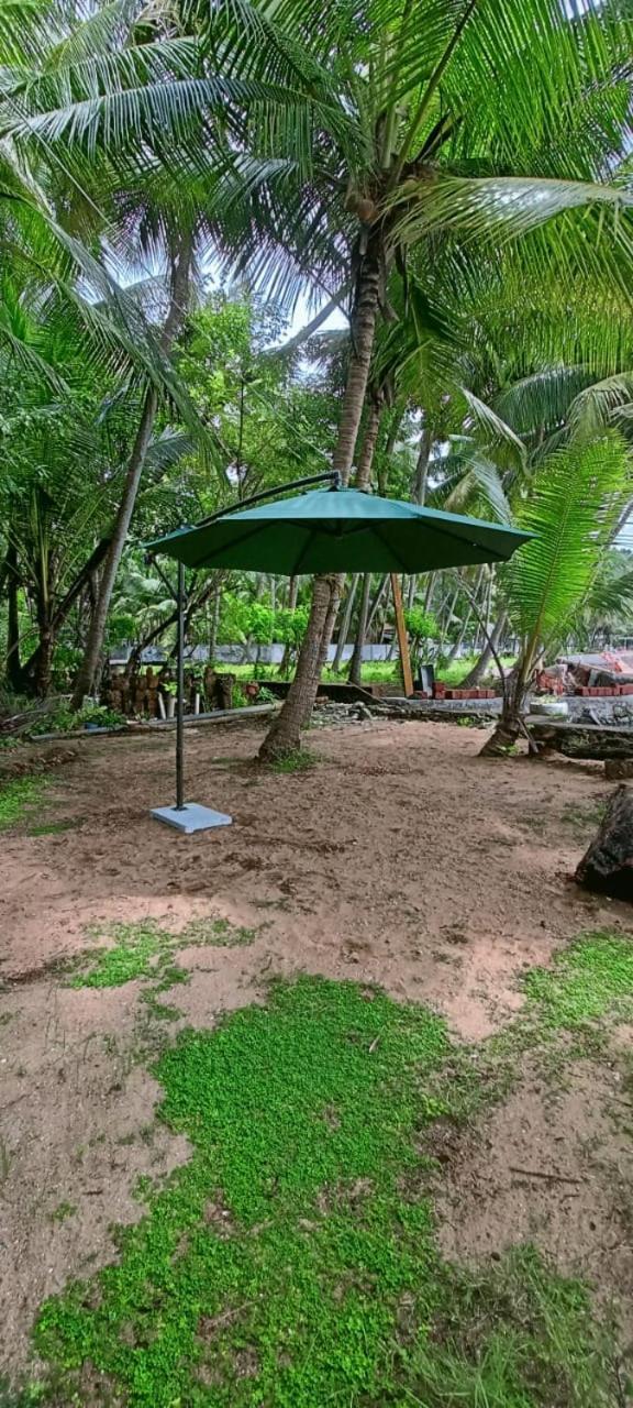 Green Island Homestay Riverside Kozhikode Eksteriør bilde